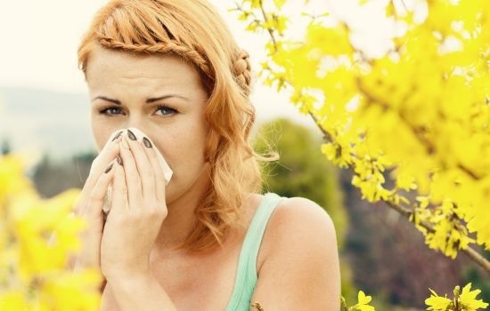 PROPOLI: ATTIVITA’ IMMUNOMODULANTE DI UN ESTRATTO STANDARDIZZATO